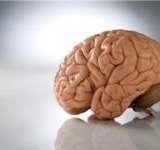 Какие продукты полезны для мозга?