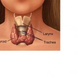 Дисфункция щитовидной железы
