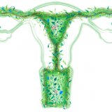 Народные методы лечения вагиноза