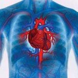 Причины и виды аритмии сердца