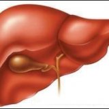 Жировой гепатоз печени: симптомы и лечение