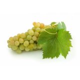 Лечение белым виноградом