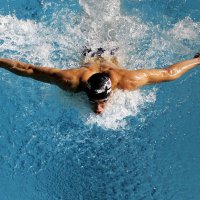Какие мышцы работают при плавании?