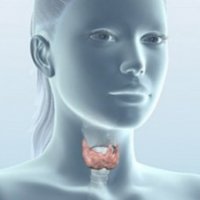 Лечение рака щитовидной железы