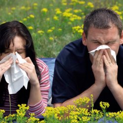 Природа аллергии, передается ли аллергия наследству