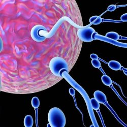 От чего зависит подвижность сперматозоидов