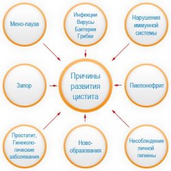 Можно ли заниматься сексом при цистите: мастурбация, оральный и анальный половой акт