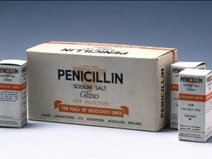 История открытия пенициллина