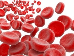 Чем поднять гемоглобин