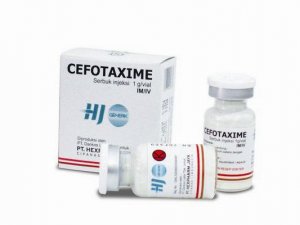 Цефотаксим антибиотик для уколов