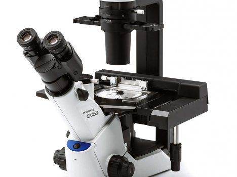 Микроскопы Олимпус – каких видов бывают эти оптические приборы